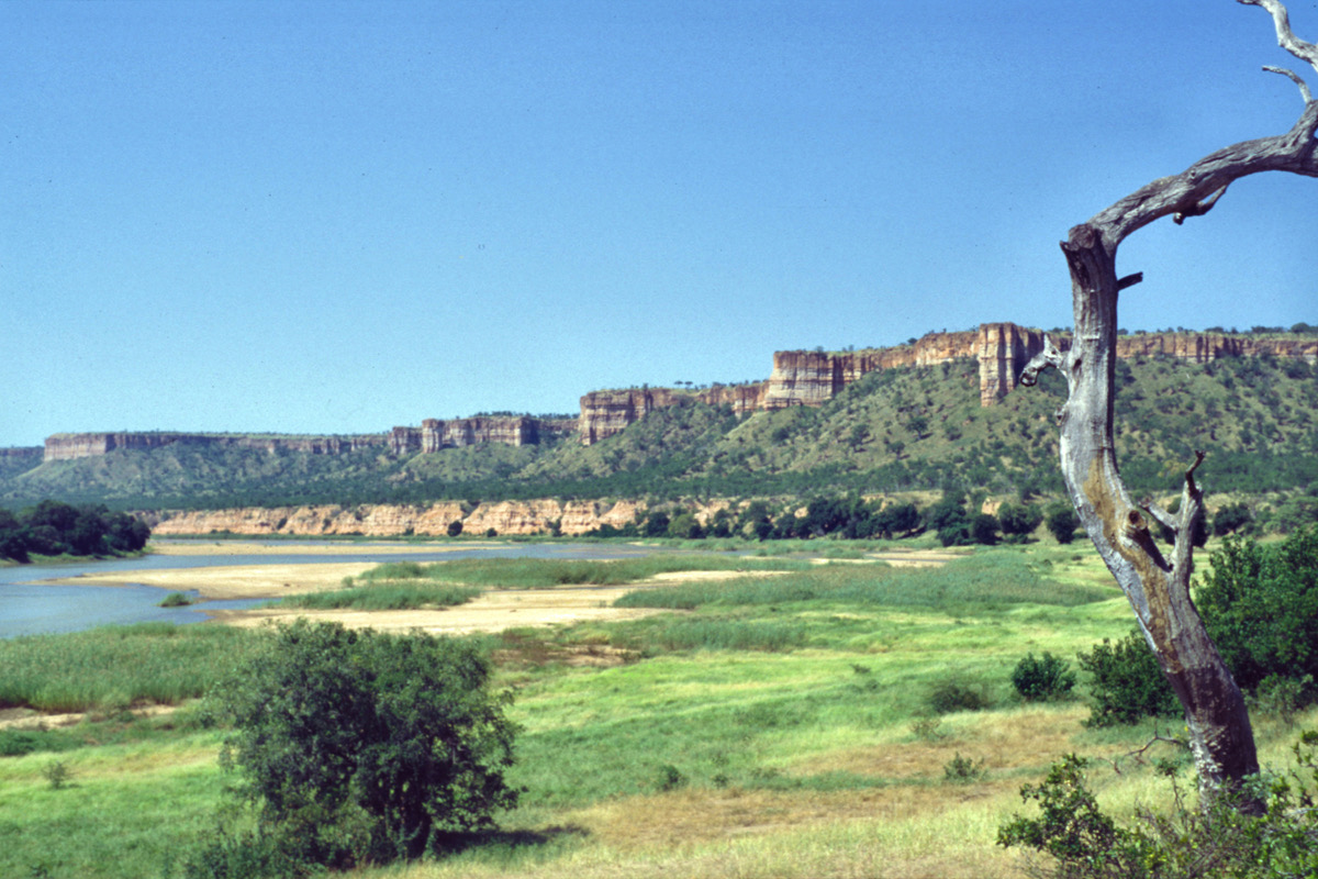 Flying to Gonarezhou: Buffalo Range flights and charters