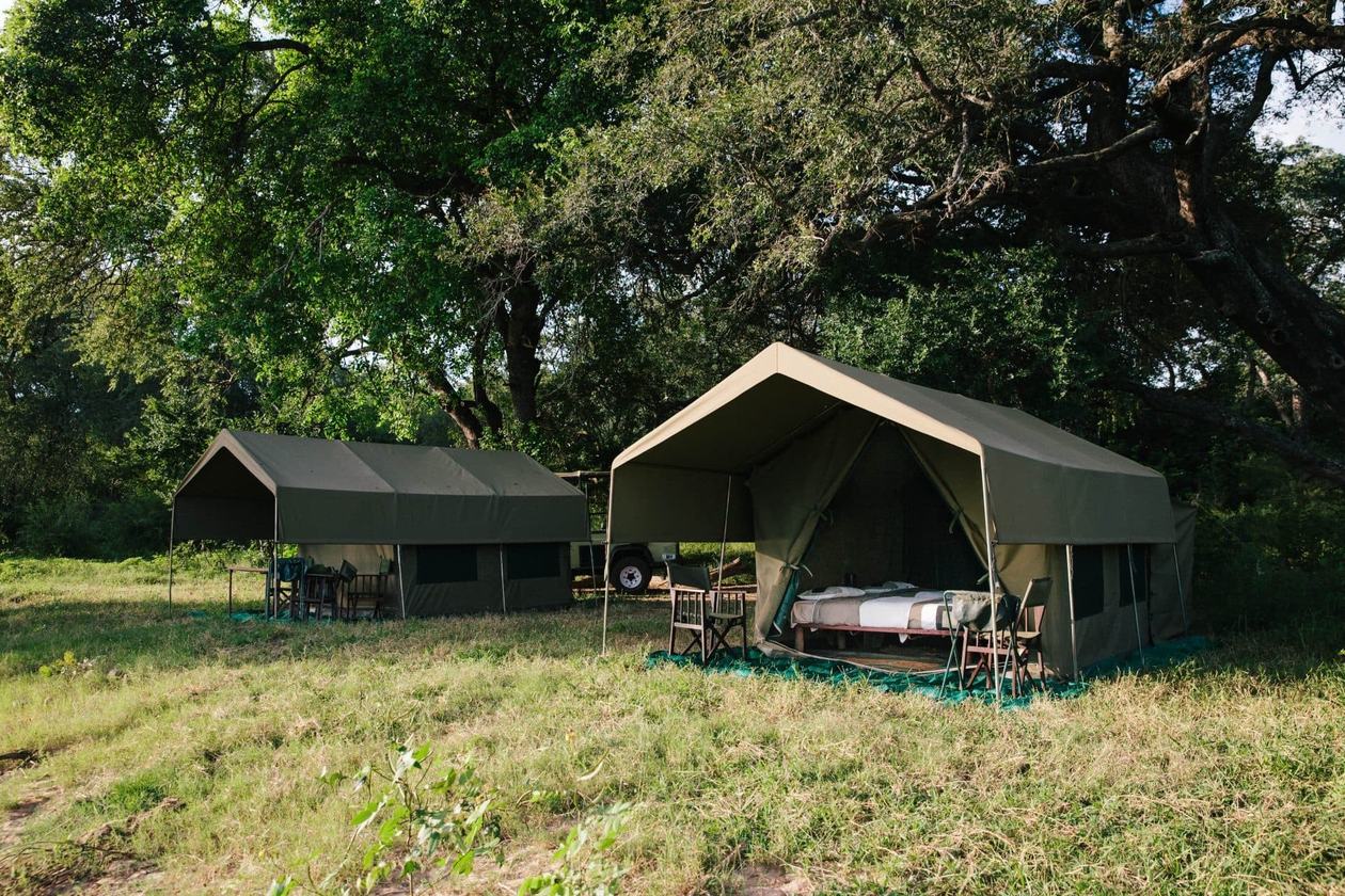 Canvastenten met openluchtbedden in het gras bij Chilo Gorge Safari Lodge.