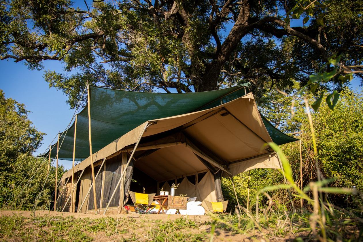 Een canvas safaritent opent uit op de bush bij Chilojo Bush Camp.