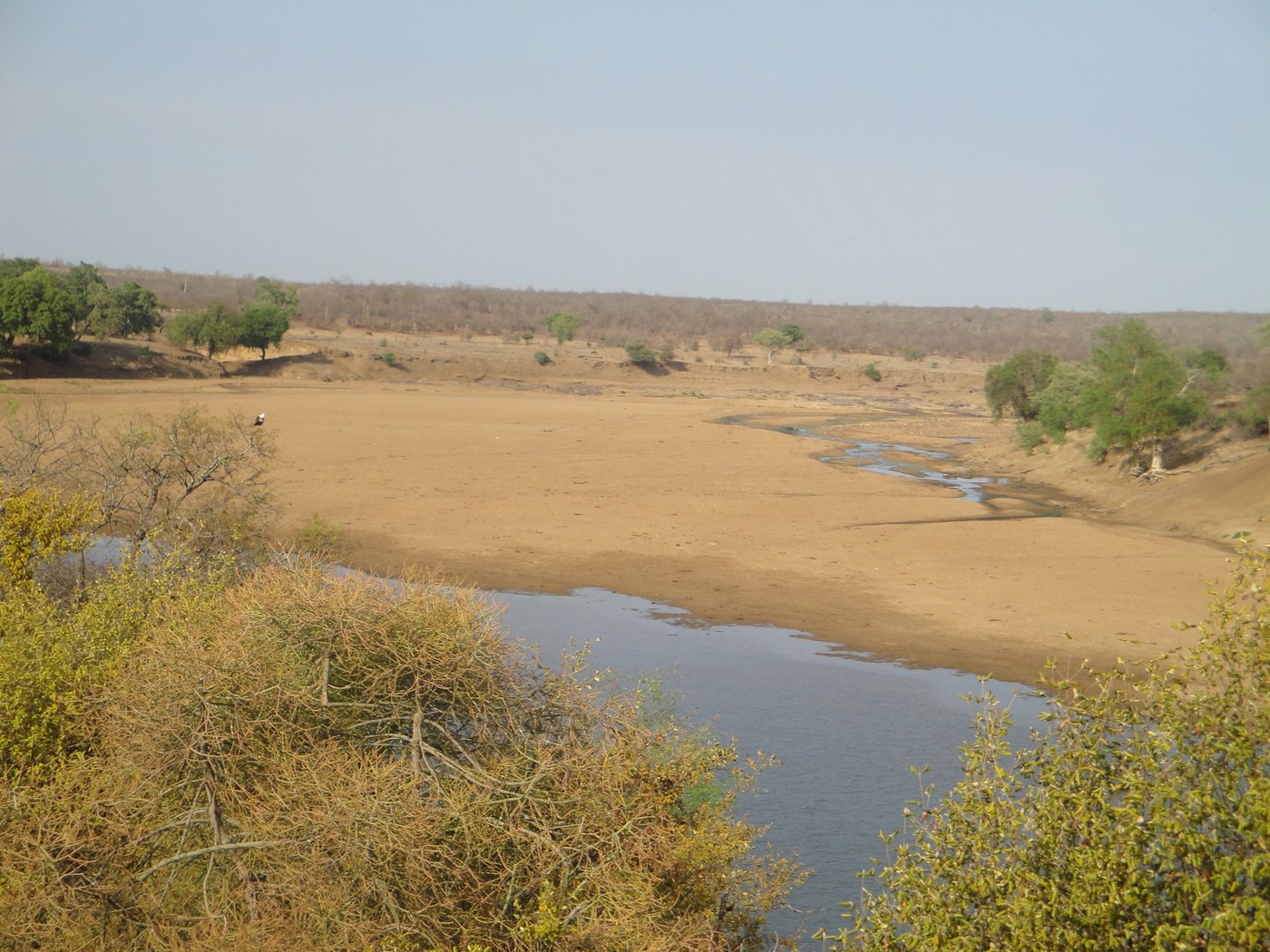 The Mwenezi River near Mabalauta, one of Gonarezhou's three developed campgrounds