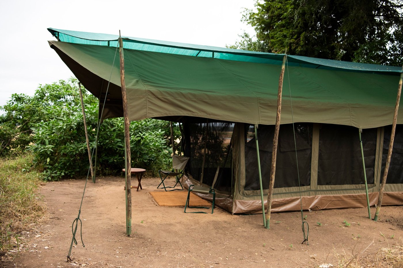 Een groene canvas tent staat beschut onder bomen bij Mahove Bush Camp.